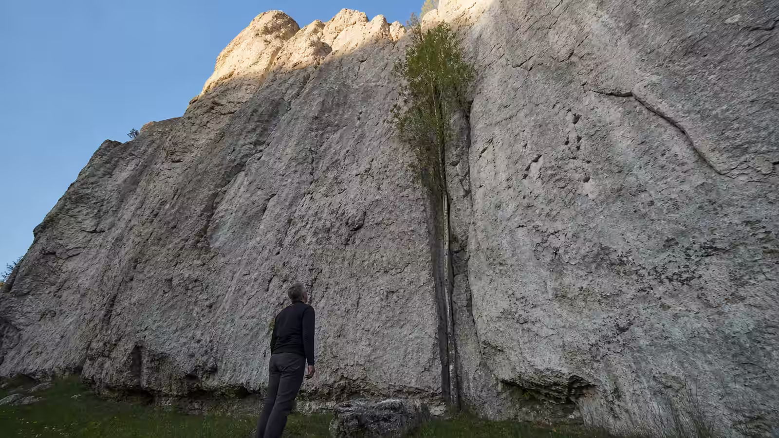 Muž pod skalnou stenou hľadí na prasklinu s brezičkou; aj tvrdé skaly pukajú pôsobením Pána Ježiša